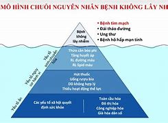 Bệnh Dại Là Bệnh Gì Có Lây Nhiễm Không