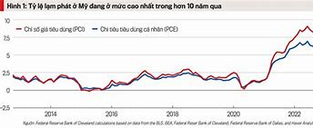 Chính Sách Của Việt Nam Hiện Nay