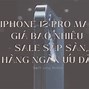 Giá Iphone 12 Pro Max Trên Thị Trường