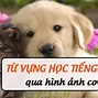 Học Con Vật