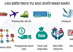 Sale Xuất Nhập Khẩu Là Làm Gì